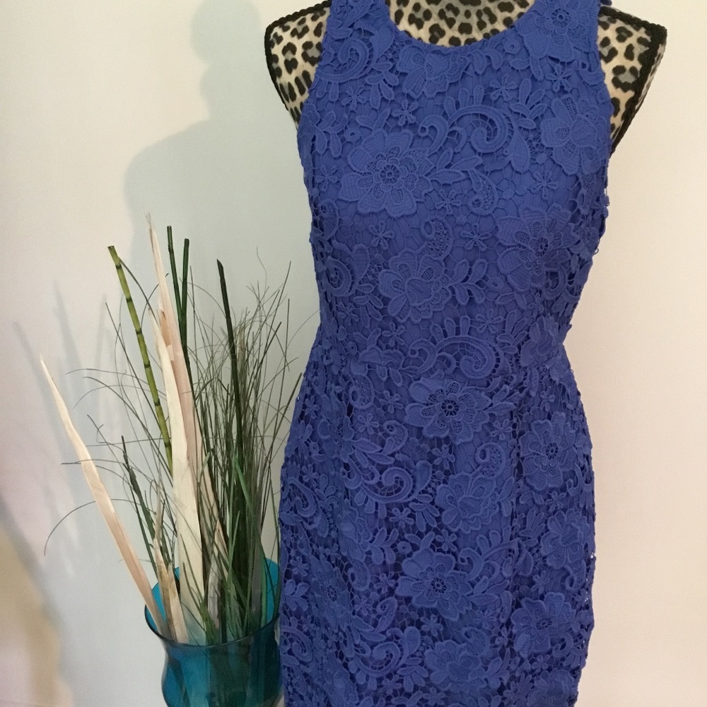 J. Crew lace dress. - Picture 1 of 6